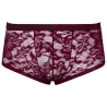 Svenjoyment Boxer Dentelle FLINO Bordeaux